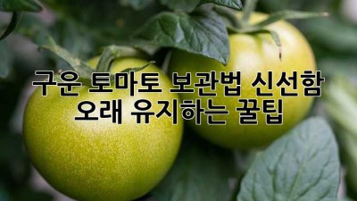 구운 토마토 보관법: 신선함 오래 유지하는 꿀팁