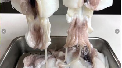 탱글탱글! 국내산 손질 갑오징어 득템 후기🦑 (feat. 며느리👩‍🍳)